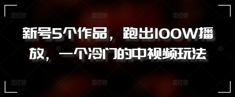 新号5个作品,跑出100W播放,一个冷门的中视频玩法【揭秘】-3YVIP资源库