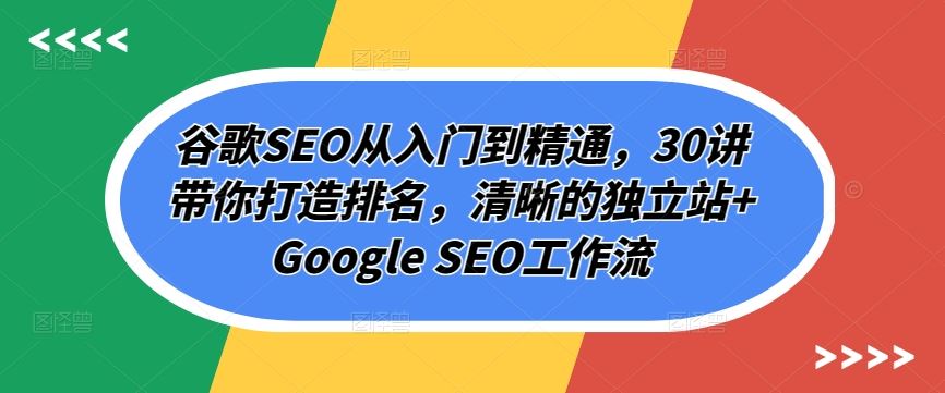 谷歌SEO从入门到精通,30讲带你打造排名,清晰的独立站+Google SEO工作流-3YVIP资源库