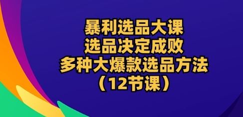 暴利选品大课:选品决定成败,教你多种大爆款选品方法(12节课)-3YVIP资源库