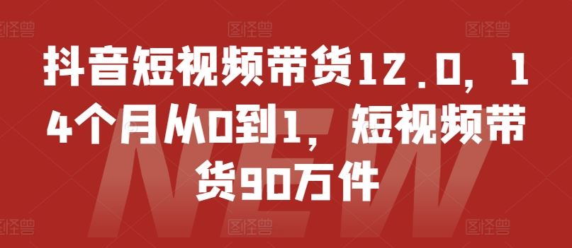 抖音短视频带货12.0,14个月从0到1,短视频带货90万件-3YVIP资源库