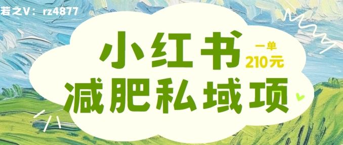 小红书减肥粉,私域变现项目,一单就达210元,小白也能轻松上手【揭秘】-3YVIP资源库