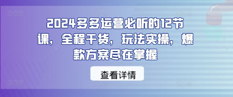 2024多多运营必听的12节课,全程干货,玩法实操,爆款方案尽在掌握-3YVIP资源库
