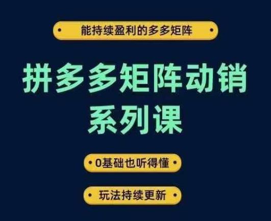拼多多矩阵动销系列课,能持续盈利的多多矩阵,0基础也听得懂,玩法持续更新-3YVIP资源库