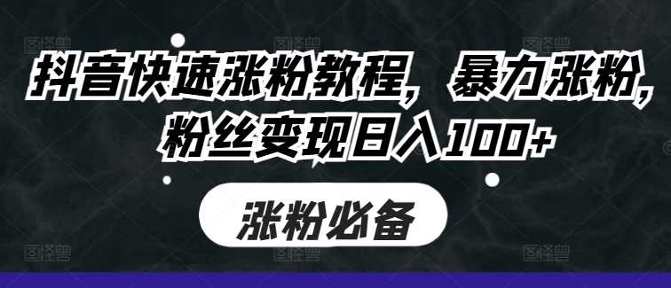 抖音快速涨粉教程,暴力涨粉,粉丝变现日入100+-3YVIP资源库