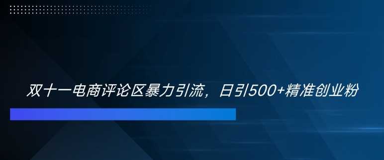 双十一电商评论区暴力引流,日引500+精准创业粉【揭秘】-3YVIP资源库