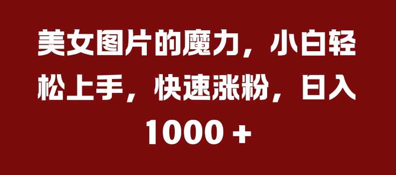 美女图片的魔力,小白轻松上手,快速涨粉,日入几张【揭秘】-3YVIP资源库