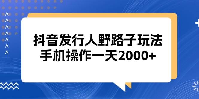(13220期)抖音发行人野路子玩法,手机操作一天2000+-3YVIP资源库
