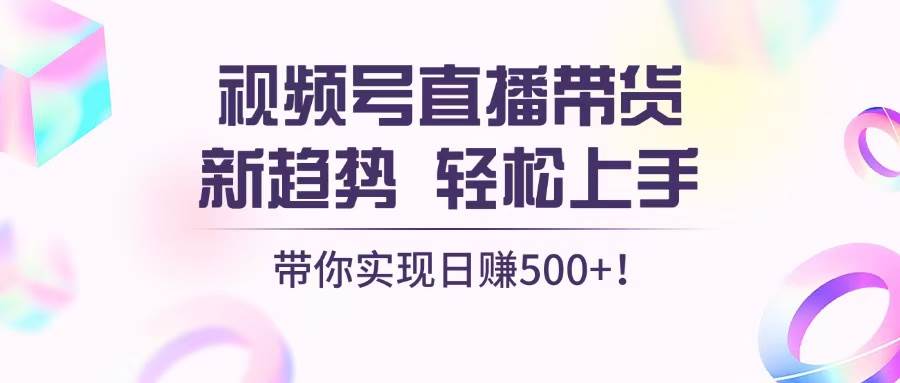 (13370期)视频号直播带货新趋势,轻松上手,带你实现日赚500+-3YVIP资源库