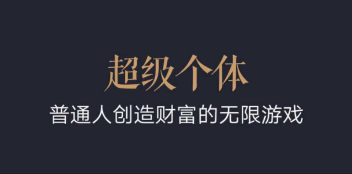 超级个体:2024-2025翻盘指南,普通人创造财富的无限游戏-3YVIP资源库