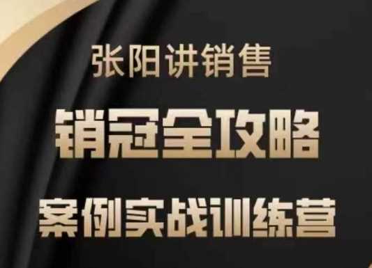 张阳讲销售实战训练营,案例实战训练,销冠全攻略-3YVIP资源库