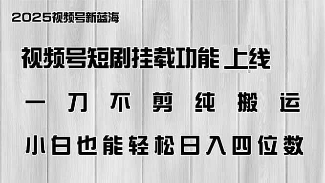 (14310期)视频号短剧挂载功能上线,一刀不剪纯搬运,小白也能轻松日入四位数-3YVIP资源库