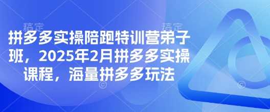 拼多多实操陪跑特训营弟子班,2025年2月拼多多实操课程,海量拼多多玩法-3YVIP资源库