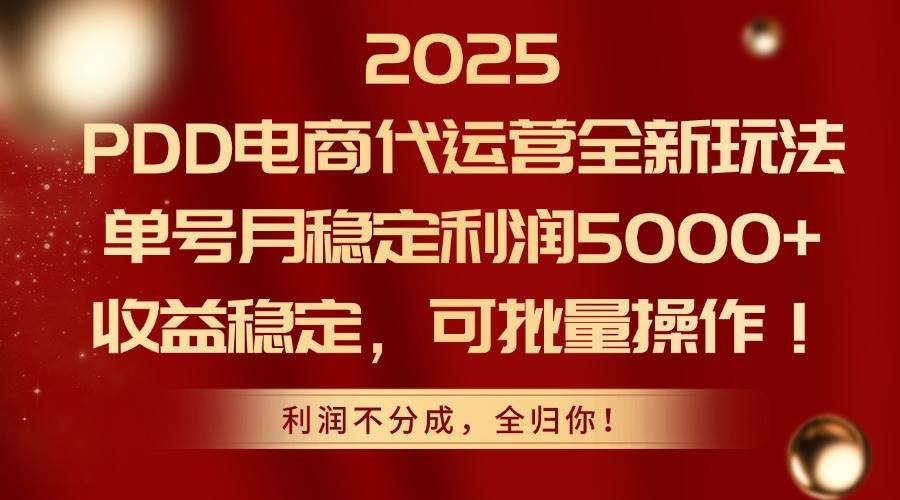 (14839期)2025PDD电商代运营全新玩法,单号月稳定利润5000+,收益稳定,可批量操作-3YVIP资源库