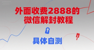 (15301期)外面收费2888的微信解封教程,具体自测-3YVIP资源库