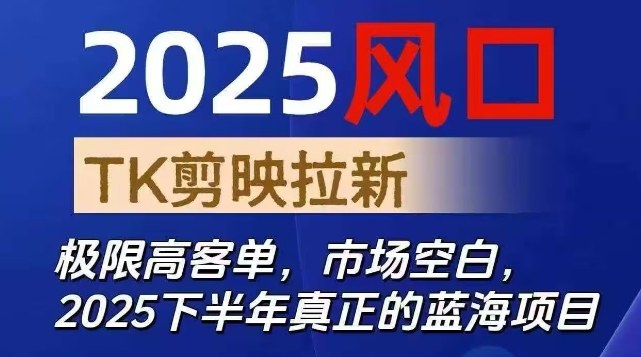 2025风口TK剪映capcut拉新项目,极限高客单,市场空白,2025下半年真正的蓝海项目-3YVIP资源库