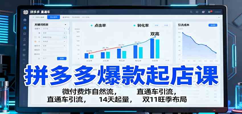 拼多多爆款起店课:微付费炸自然流,直通车引流,14天起量,双11旺季布局-3YVIP资源库