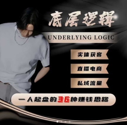一个人起盘的底层逻辑,私域流量-直播电商-实体获客,一人起盘的36种賺钱思路-3YVIP资源库