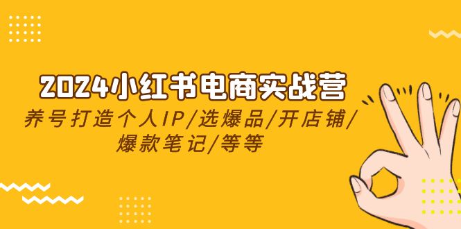 2024小红书电商实战营，养号打造IP/选爆品/开店铺/爆款笔记/等等（24节）-3YVIP资源库