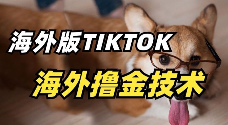 抖音海外版tiktok撸金技术，这个风口行业，赚钱真的不难【揭秘】-3YVIP资源库