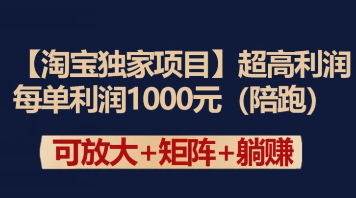 【淘宝独家项目】超高利润：每单利润1000元【揭秘】-3YVIP资源库