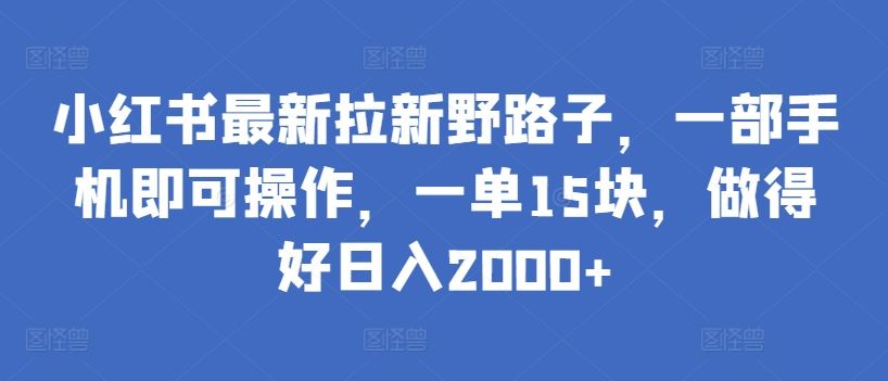 小红书最新拉新野路子，一部手机即可操作，一单15块，做得好日入2000+【揭秘】-3YVIP资源库