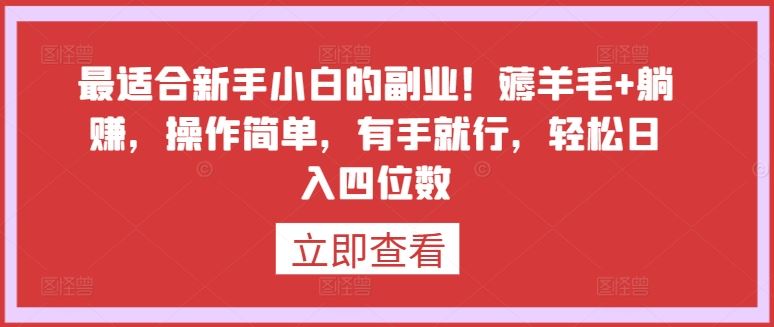 最适合新手小白的副业！薅羊毛+躺赚，操作简单，有手就行，轻松日入四位数【揭秘】-3YVIP资源库