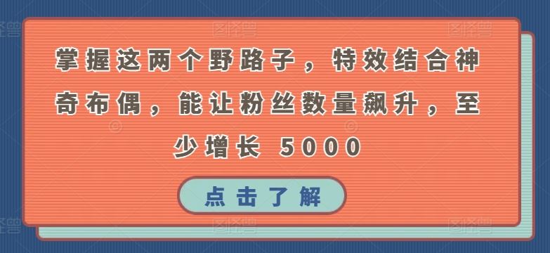 掌握这两个野路子，特效结合神奇布偶，能让粉丝数量飙升，至少增长 5000【揭秘】-3YVIP资源库