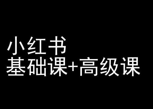 小红书基础课+高级课-小红书运营教程-3YVIP资源库