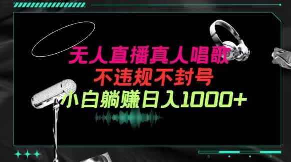抖音24小时无人直播音乐，不违规，不封号纯撸音浪，小白实操当天日入1000+【揭秘】-3YVIP资源库
