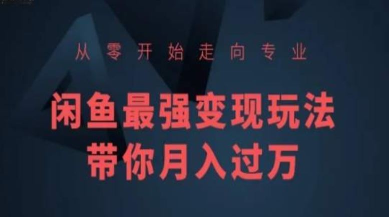 从零开始走向专业，闲鱼最强变现玩法带你月入过万-3YVIP资源库