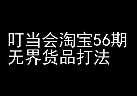 叮当会淘宝56期：无界货品打法-淘宝开店教程-3YVIP资源库