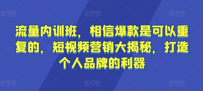 流量内训班，相信爆款是可以重复的，短视频营销大揭秘，打造个人品牌的利器-3YVIP资源库