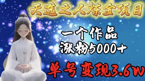 天选之人炼金项目，一个作品涨粉5000+，单号变现3.6w【揭秘】-3YVIP资源库