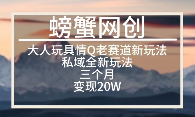 大人玩具情Q用品赛道私域全新玩法，三个月变现20W，老项目新思路【揭秘】-3YVIP资源库