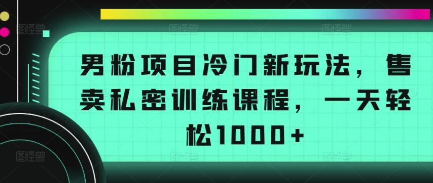 男粉项目冷门新玩法，售卖私密训练课程，一天轻松1000+【揭秘】-3YVIP资源库