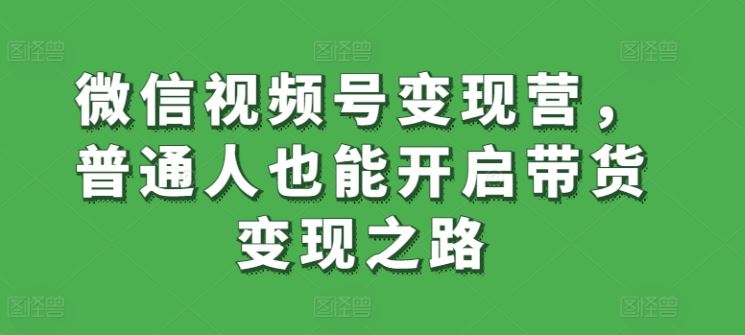 微信视频号变现营，普通人也能开启带货变现之路-3YVIP资源库