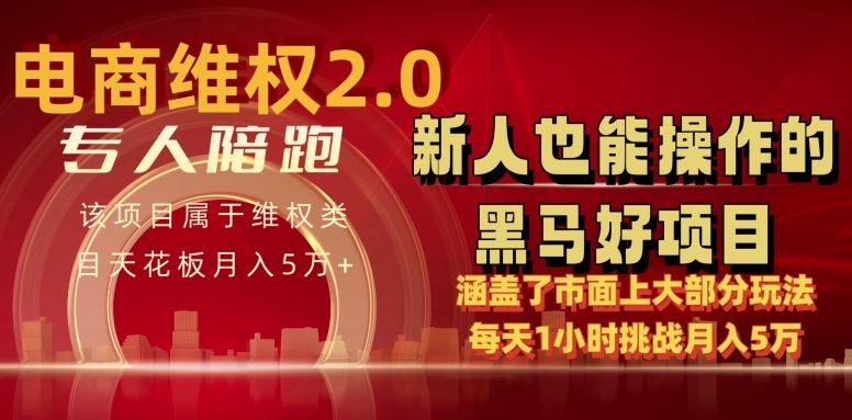 电商维权 4.0 如何做到月入 5 万+每天 1 小时新人也能快速上手【仅揭秘】-3YVIP资源库