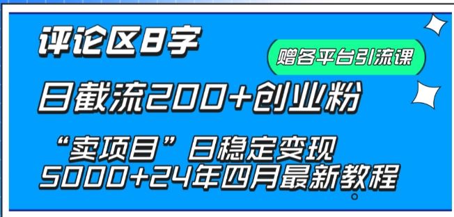 抖音评论区8字日截流200+创业粉 “卖项目”日稳定变现5000+【揭秘】-3YVIP资源库
