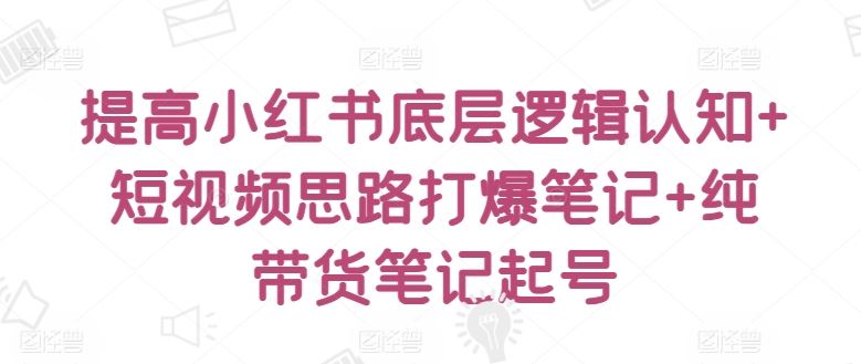 提高小红书底层逻辑认知+短视频思路打爆笔记+纯带货笔记起号-3YVIP资源库