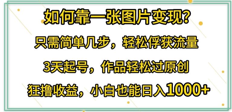 如何靠一张图片变现?只需简单几步，轻松俘获流量，3天起号，作品轻松过原创【揭秘】-3YVIP资源库