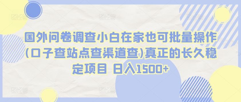 国外问卷调查小白在家也可批量操作(口子查站点查渠道查)真正的长久稳定项目 日入1500+【揭秘】-3YVIP资源库