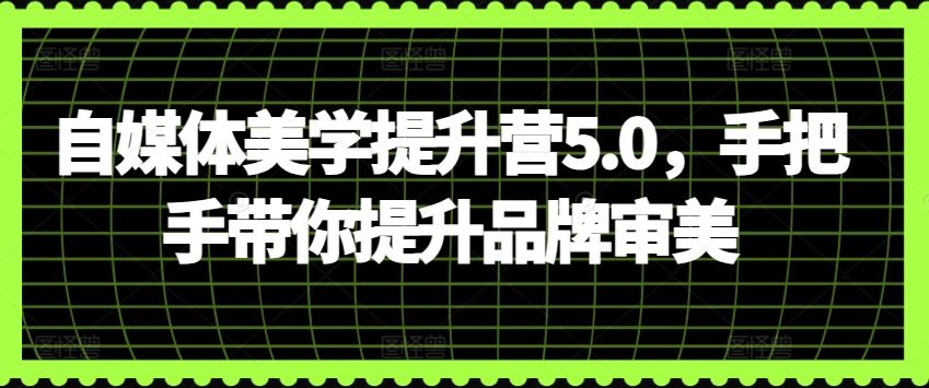 自媒体美学提升营5.0，手把手带你提升品牌审美-3YVIP资源库