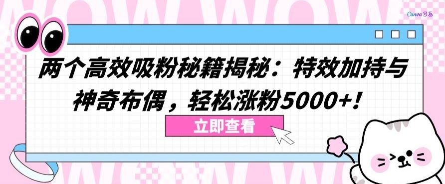两个高效吸粉秘籍揭秘：特效加持与神奇布偶，轻松涨粉5000+【揭秘】-3YVIP资源库