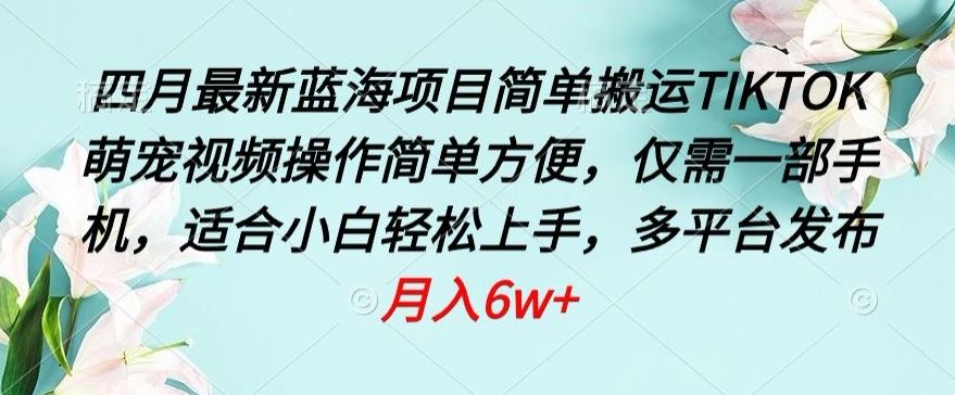 四月最新蓝海项目，简单搬运TIKTOK萌宠视频，操作简单方便，仅需一部手机【揭秘】-3YVIP资源库