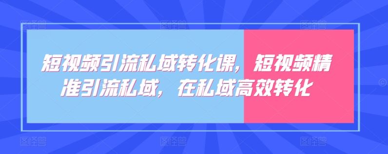 短视频引流私域转化课，短视频精准引流私域，在私域高效转化-3YVIP资源库