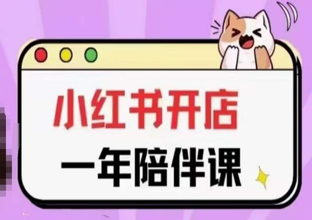 三九小红书开店一年陪伴课(更新)，从0到1玩赚小红书开店-3YVIP资源库