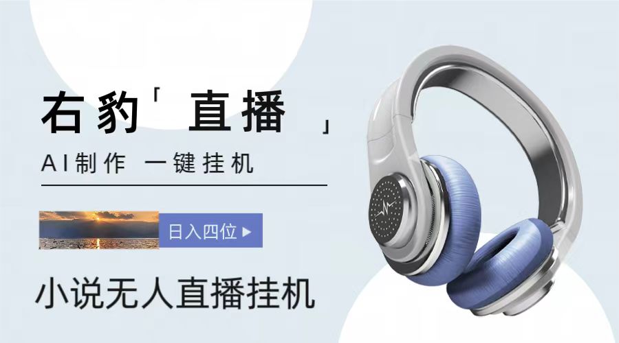 右豹小说无人直播挂机吸金项目，简单易行收益稳定， 月入1000+-3YVIP资源库
