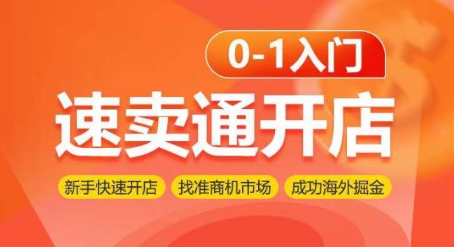速卖通开店0-1入门，新手快速开店 找准商机市场 成功海外掘金-3YVIP资源库