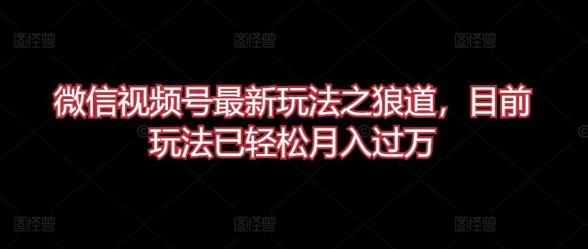 微信视频号最新玩法之狼道，目前玩法已轻松月入过万【揭秘】-3YVIP资源库