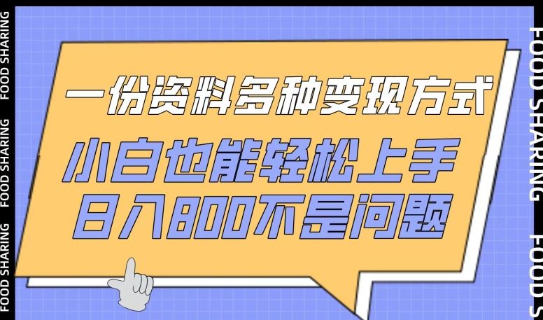 一份资料多种变现方式，小白也能轻松上手，日入800不是问题【揭秘】-3YVIP资源库
